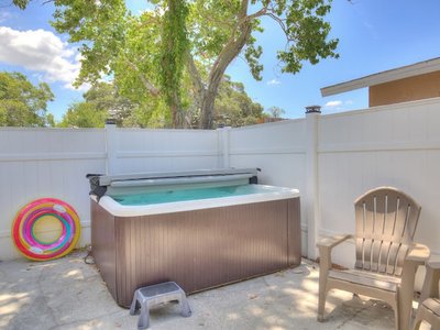 The Mermaid and the Sea Turtle