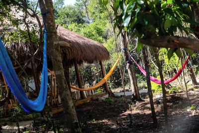 COLORFUL NIGHT capsules