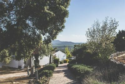 Casas Rurales La Cañada, 사진 2
