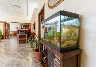 Villa Delle Rose