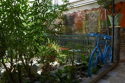 Urban Seaside Oasis - Adriana's Garden Paradise