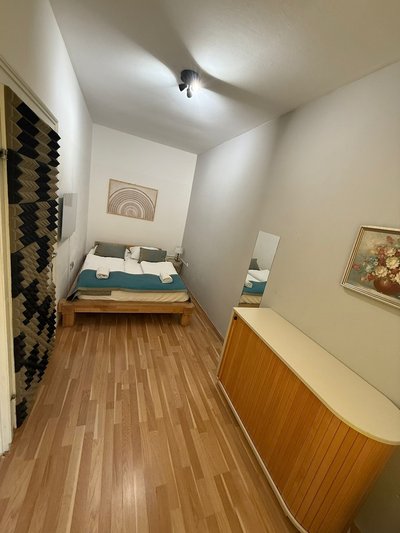Cozy 1BR Apt with LR Vienna Location