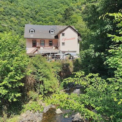 Hotel-Restaurant-Cafe Elfenmühle
