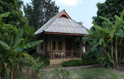 Banana House Pai