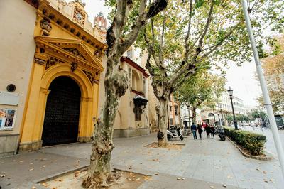 Casa Patio Siglo XIX