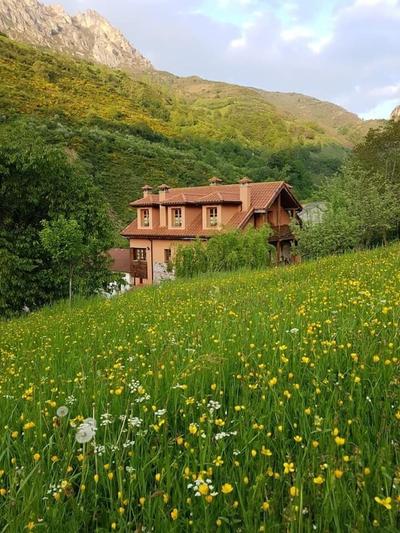Apartamentos Rurales Buenamadre