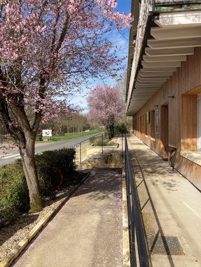 Logis Hôtel Les TILLEULS