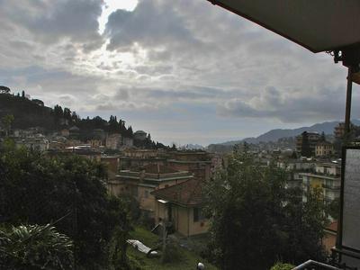 Mandorlo