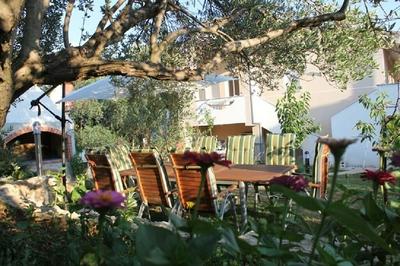 Ante - 50m From the sea - A4 Lila