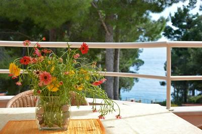 Dino - Gorgeous Garden - SA2 Jelsa