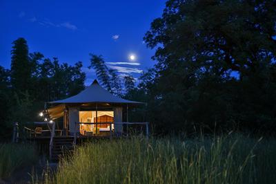 The Untamed Bandhavgarh by TUTC