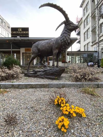 Carlton-Europe Vintage Adults Hotel