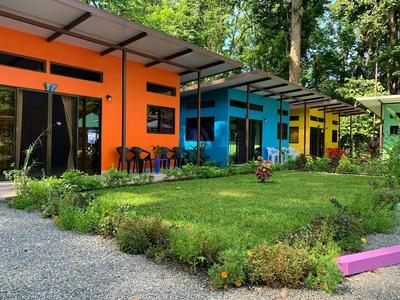 Caribbean Blue Morpho