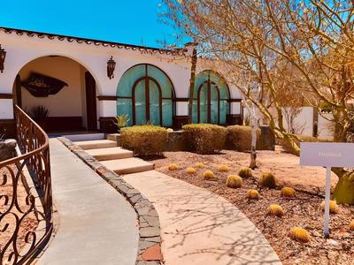 Orchid House Baja & Beach Club