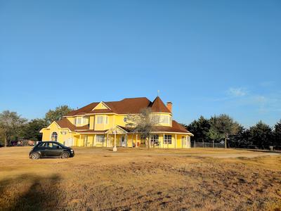 The Yellow Rose Of Texas