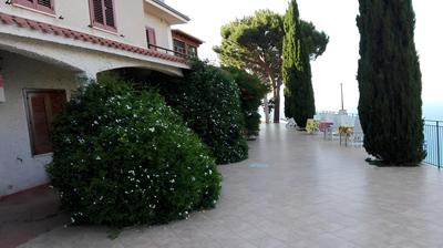 Paradise Bed & Breakfast