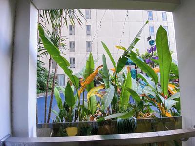 Cozy Living Studio at Marquis de Lafayette Apartment