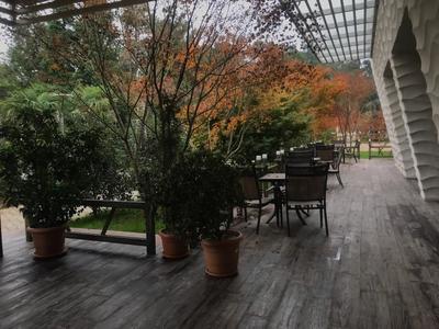 Apartment on Batumskaya 16-9 ap. 20