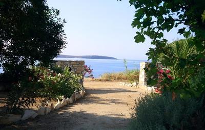 Blue & Sea Studios