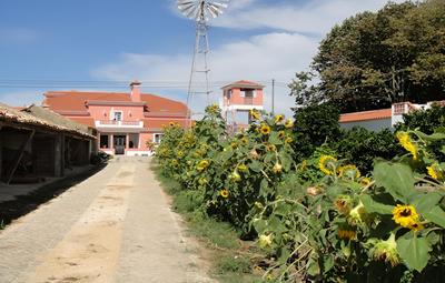 Quinta Alves de Matos, Φωτογραφία 2