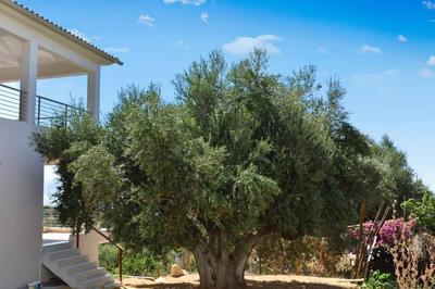 Luxury Modern Villa - Stunning Panorama