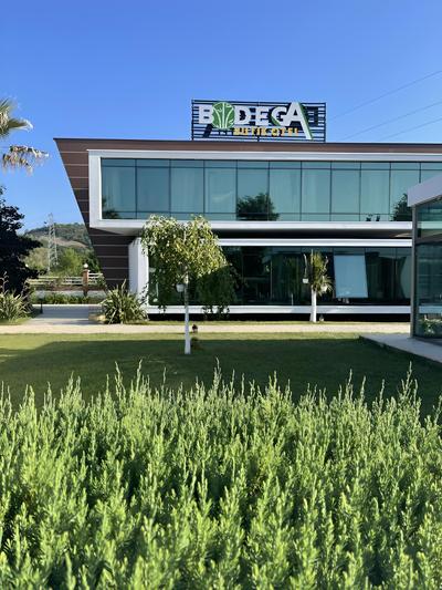 Bodega Otel