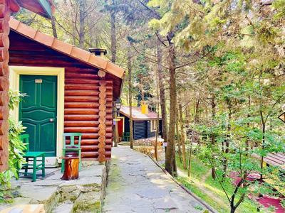 Agva Orman Evleri Forest Lodge