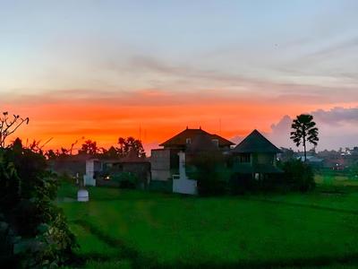 Belvilla Alana Monkey Forest