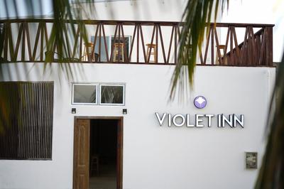 VIOLET INN