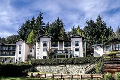 Aldea Andina Hotel & Spa