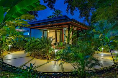 Noah's Forest by Tifakara