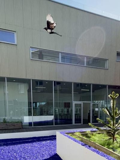 Auberge de Jeunesse HI Lille