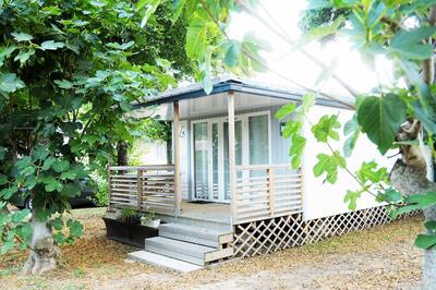 Camping Le Sagone