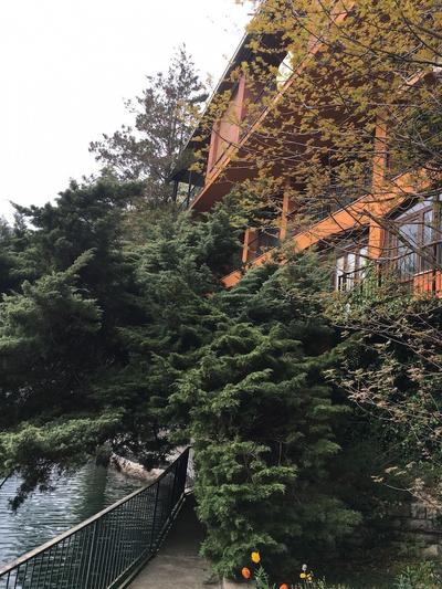 Swan's Nest Luxury Apartment on the Lake