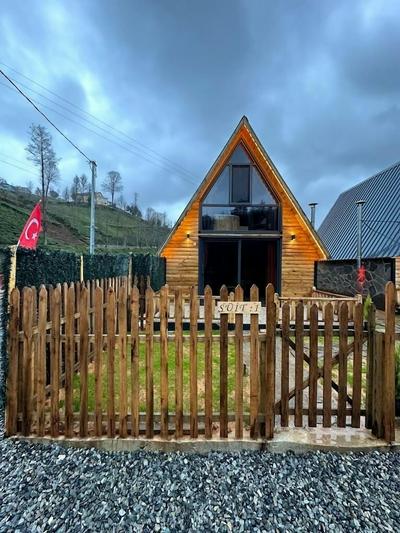 Rize Seversin Suit Bungalow