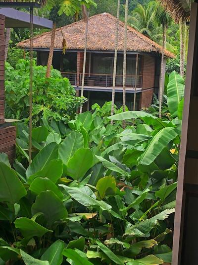 Tilar Siro Andamans - CGH Earth