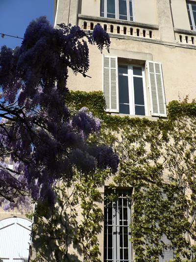 Chambres d'hôtes Maison Auguste
