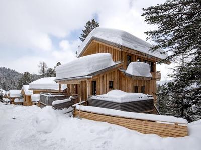 Chalet in Austria Near Ski Slope & Sauna