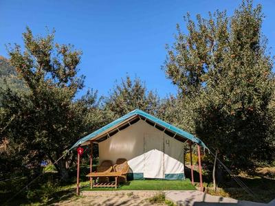 Apple Orchard Farm and Camping