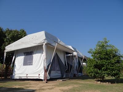 The Camping Field