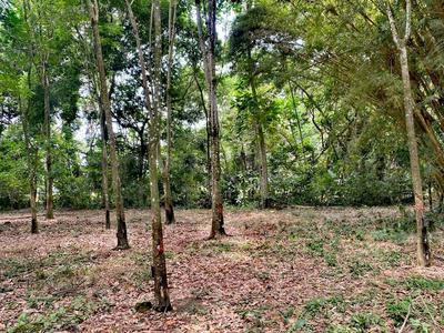 Hotel Sunrise Guamal