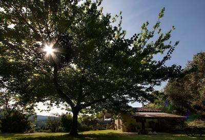 Casa Paola