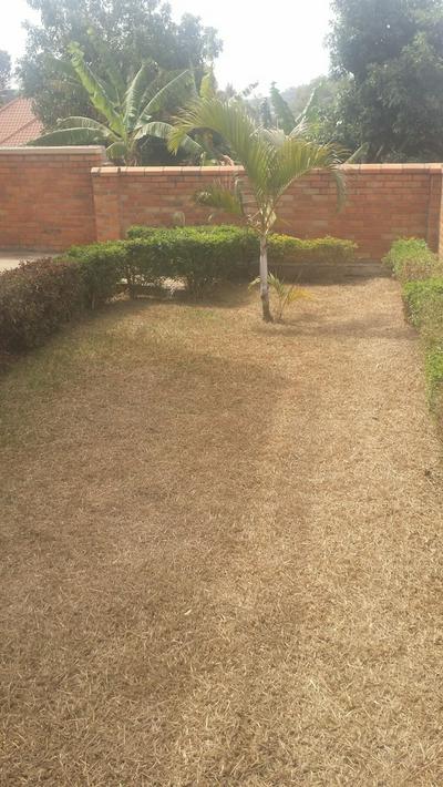 EstaCode Suites- Classic