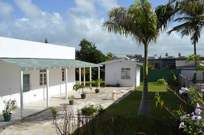 Tropical Gecko Studio