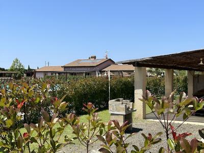 Fattoria Palazzeta Pet & Family Friendly