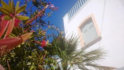 Amazones Sun Studios