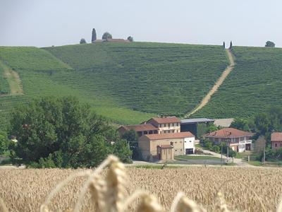 GranCollina