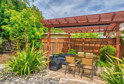 Live Oak Oasis Santa Cruz Chic
