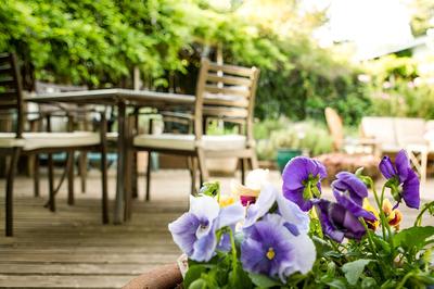 Oak Hill Bed & Breakfast