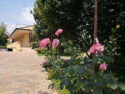 B&B D'Avino